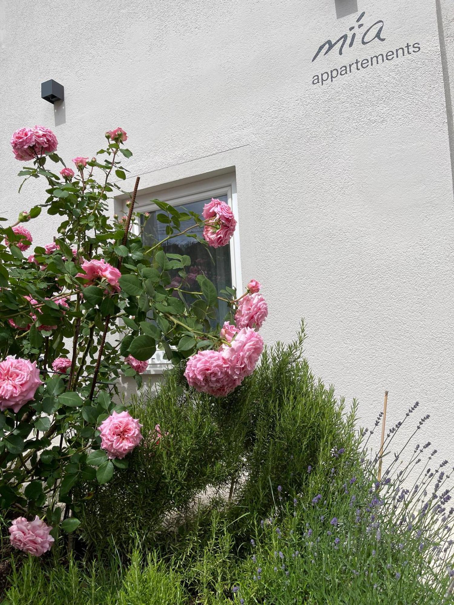 Mia Appartements Innsbruck Ngoại thất bức ảnh